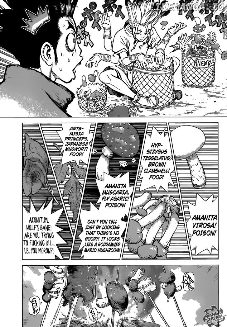 Dr.Stone Chapter 2 image 04
